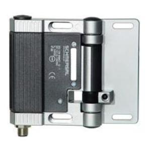 Hinged Interlock Switch Image
